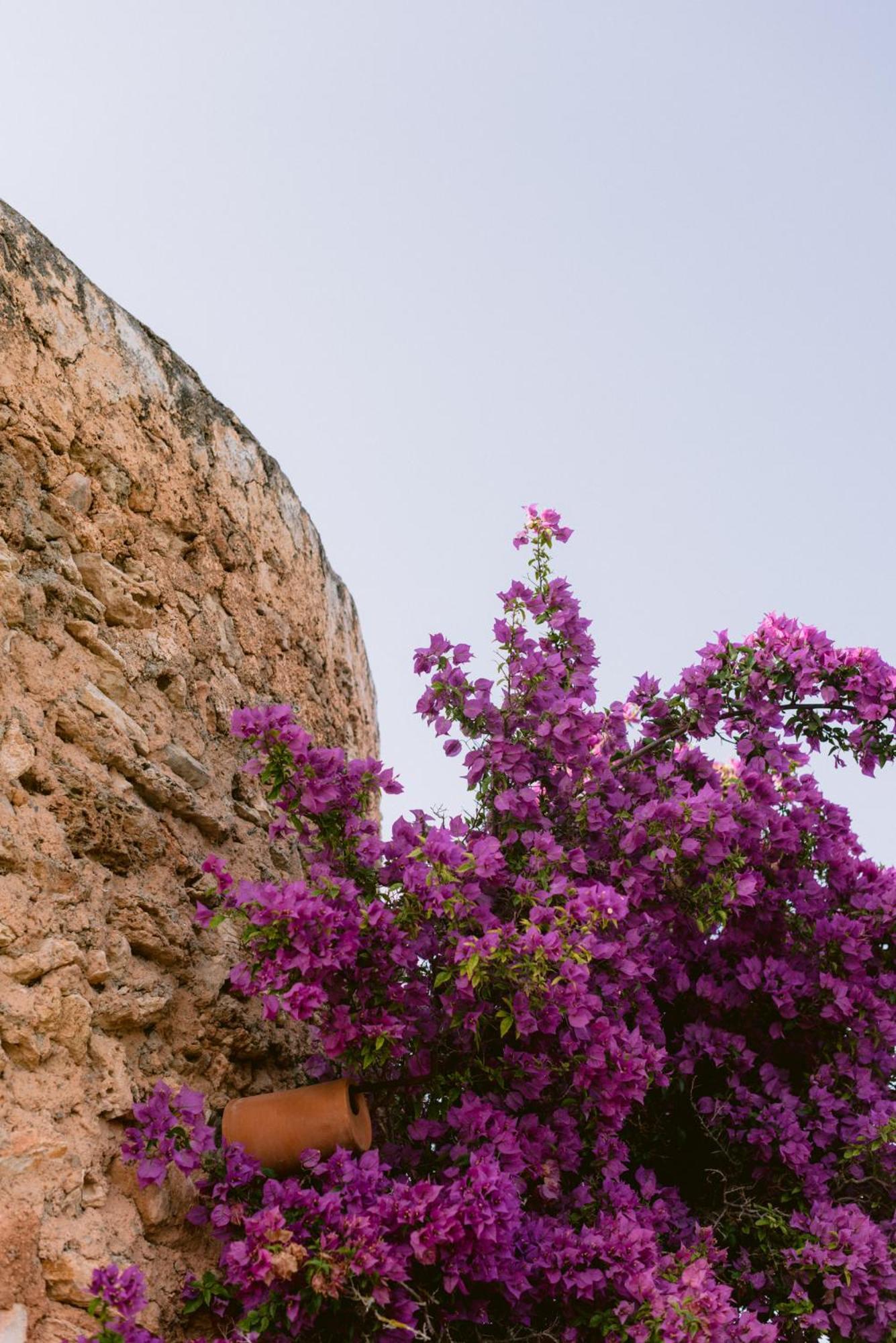 סנט לורנס דה בלפיה Can Quince Balafia Ibiza Hotel - Turismo De Interior מראה חיצוני תמונה