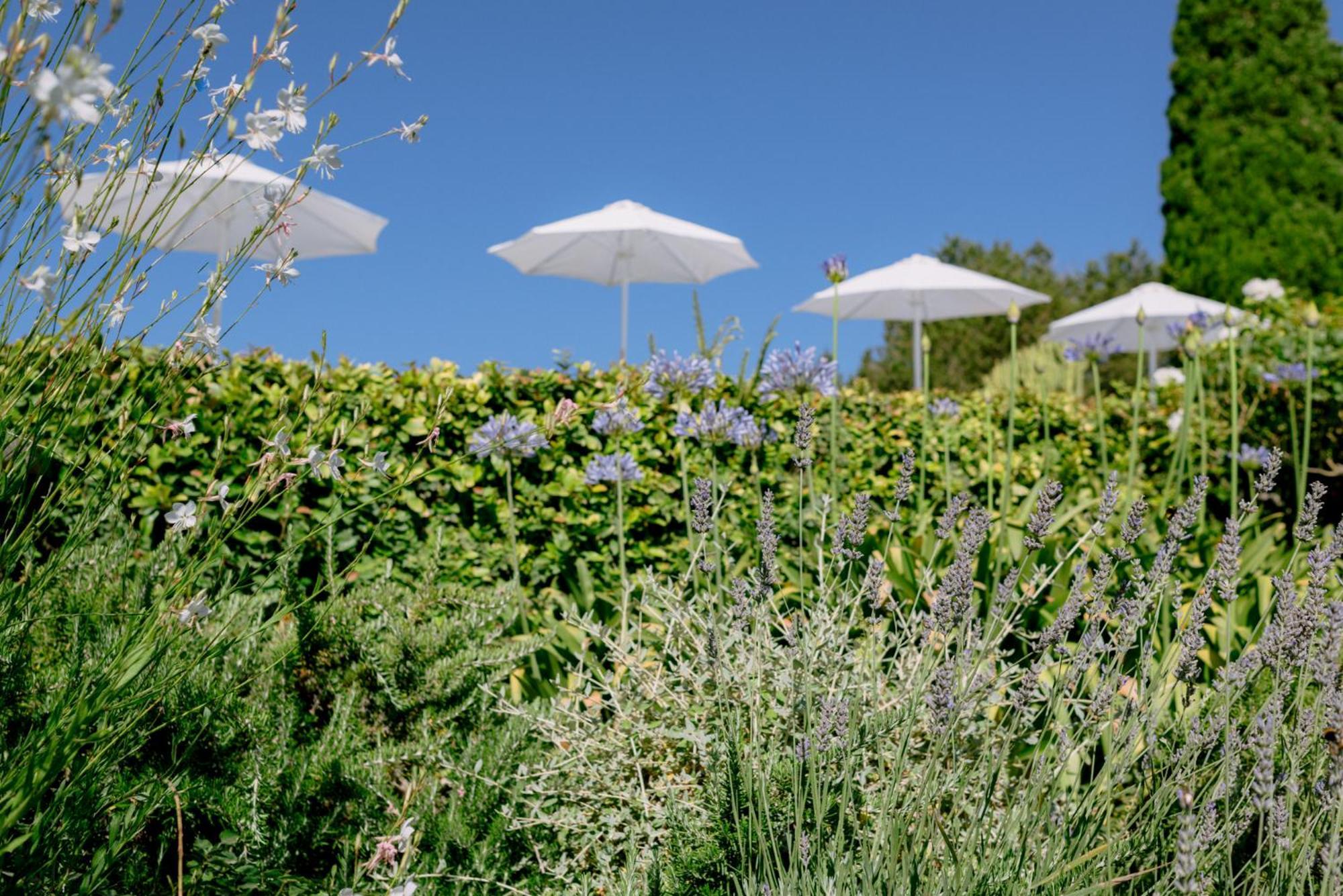 סנט לורנס דה בלפיה Can Quince Balafia Ibiza Hotel - Turismo De Interior מראה חיצוני תמונה